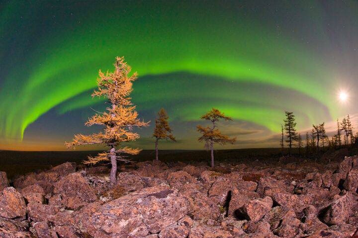 Север для детей и взрослых ✨