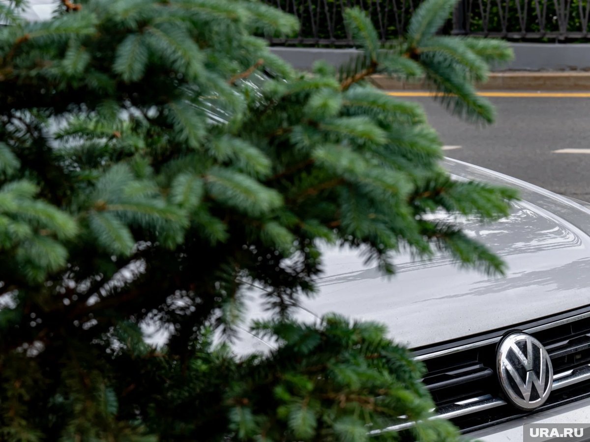     Цены на автомобили с пробегом снизились более, чем в 60 регионах России