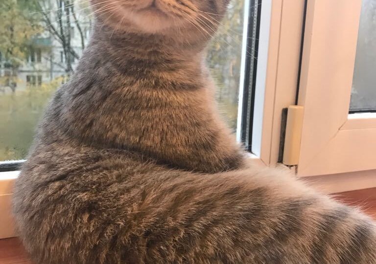 Рак языка 4ой степени и Я. Часть 319. Обследование. ждем результат. Рутина.