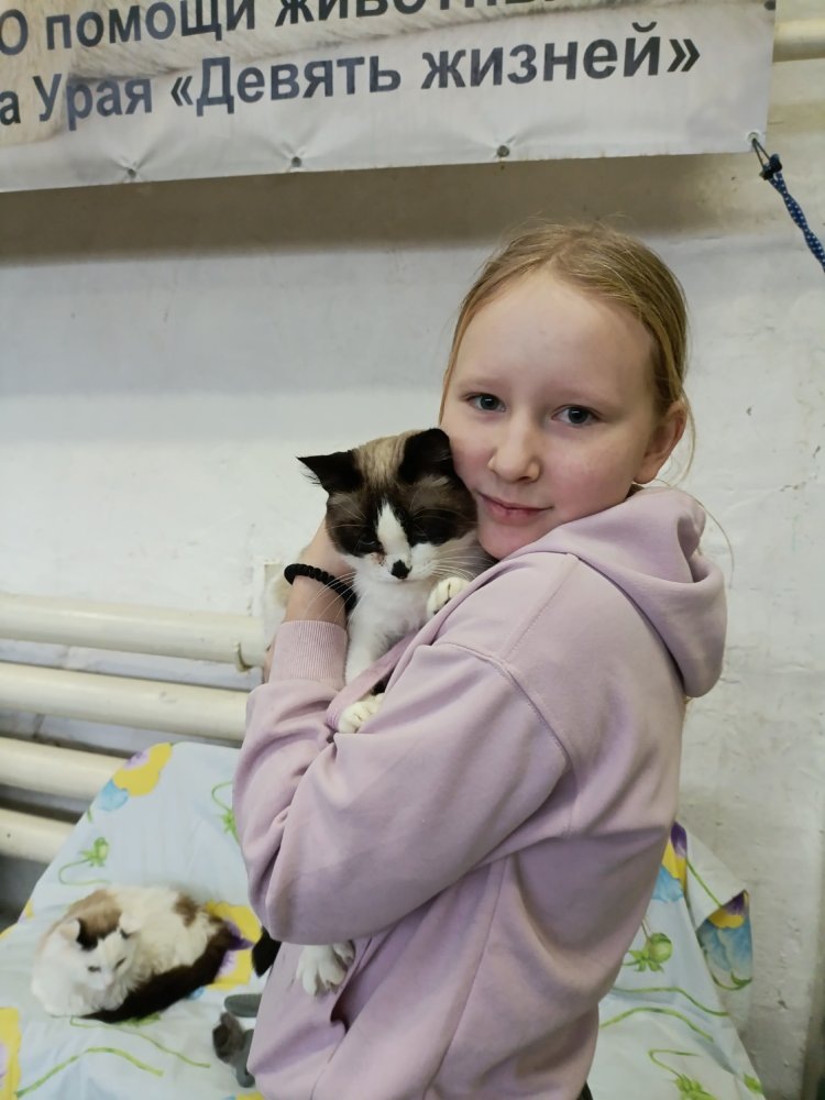    И коробка храбрости, и какао для соседа