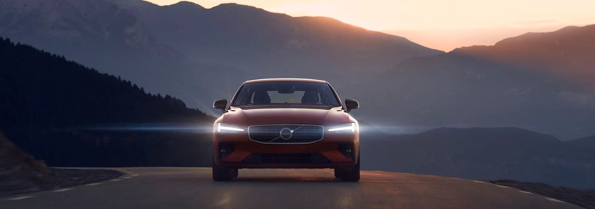 Фото vlv-avilon.ru  📷
