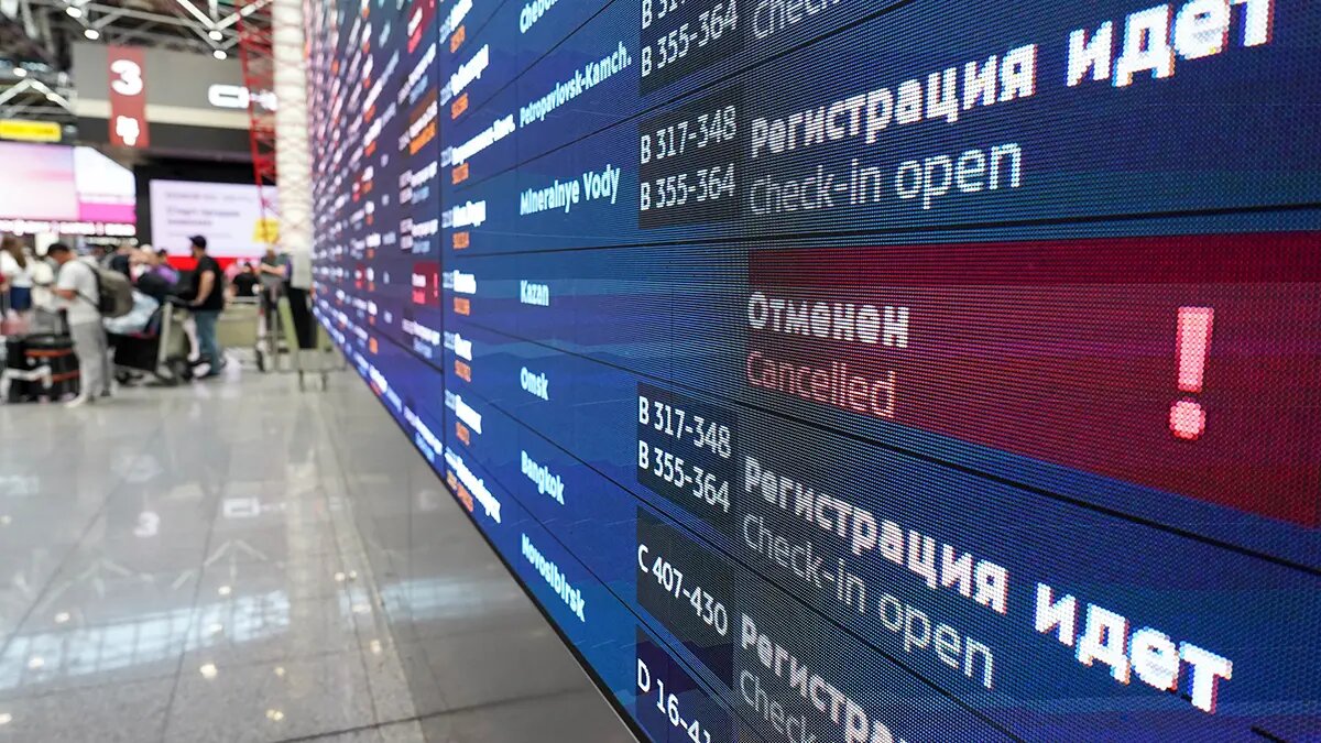    Фото: vm.ru Полина Белоусова