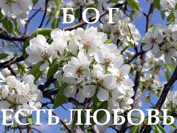 ГОСПОДЬ есть ЛЮБОВЬ!!!