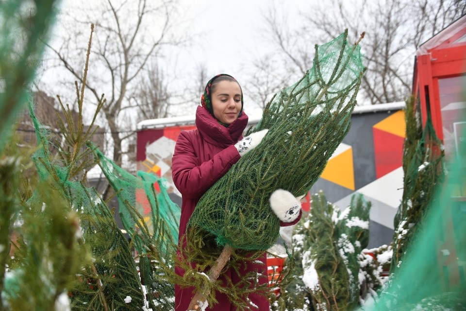    Ярмарки будут располагаться около ТРЦ «Ривьера» (ул. Катукова) и «Армада» (ул. П. Смородина, 13а). Евгения ГУСЕВА