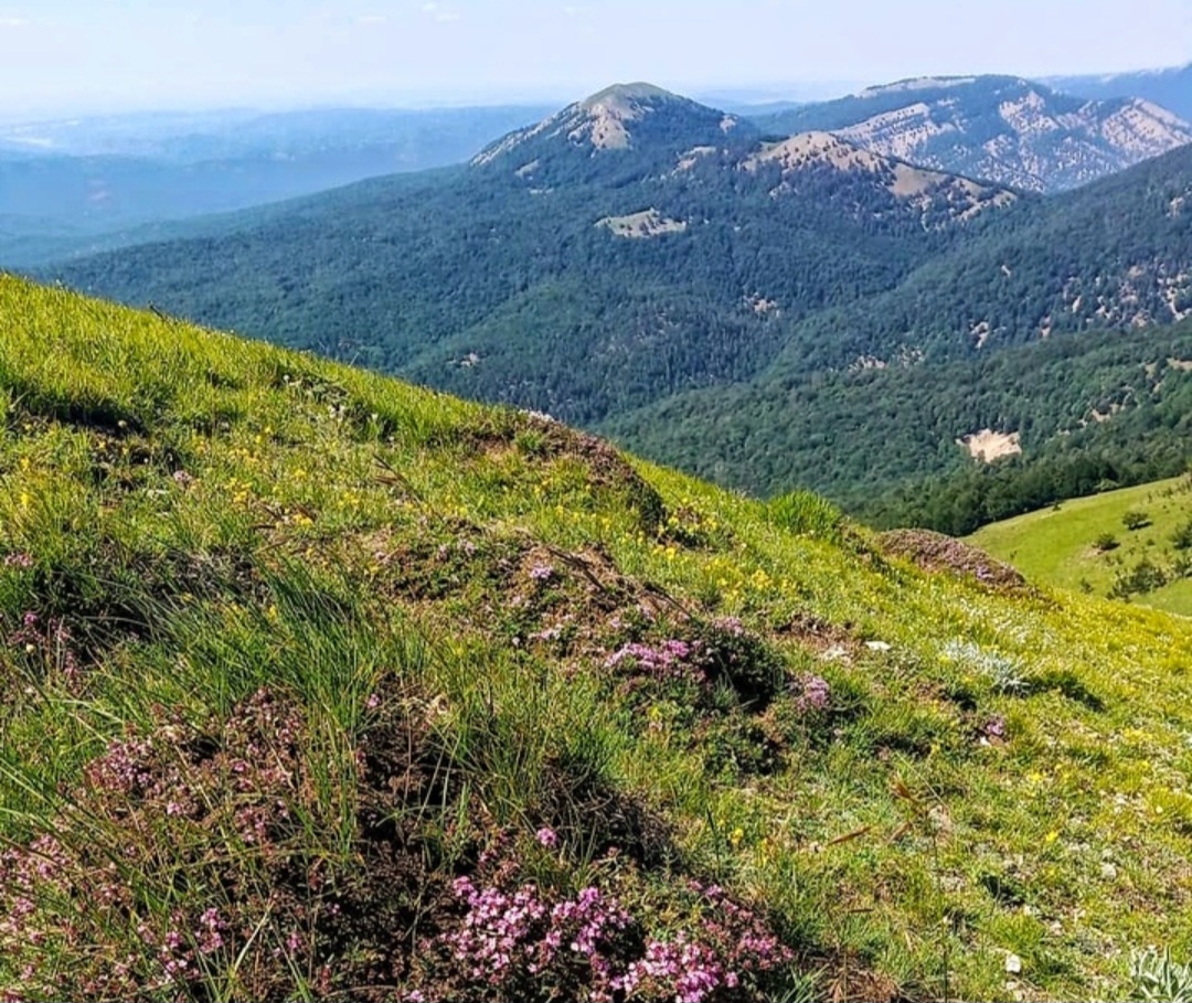 Массив Бабуган-Яйла 1545 м над уровнем моря.
