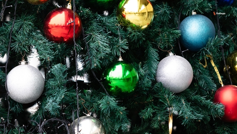      Фото: ИА «Победа26»