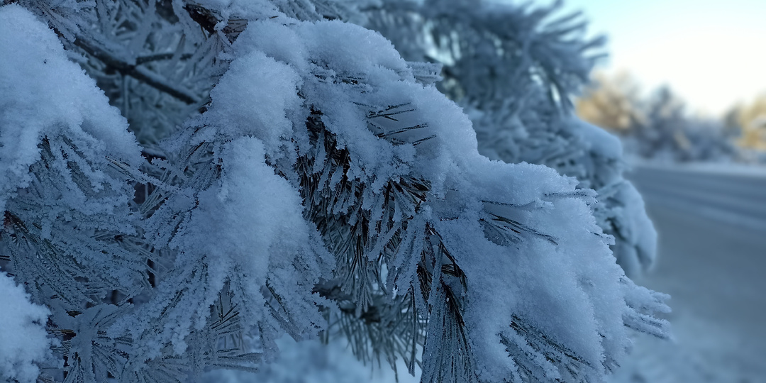 10 фото зимних дорог Алтая