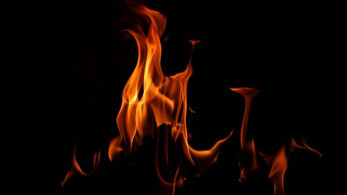    Фото: Shutterstock