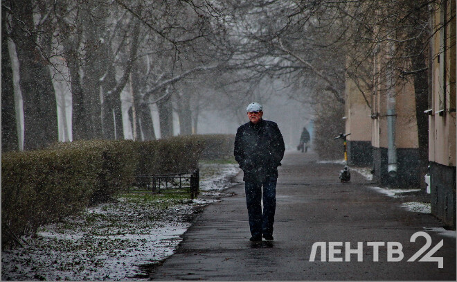    © Анастасия Илюшина / ЛенТВ24, архивное фото