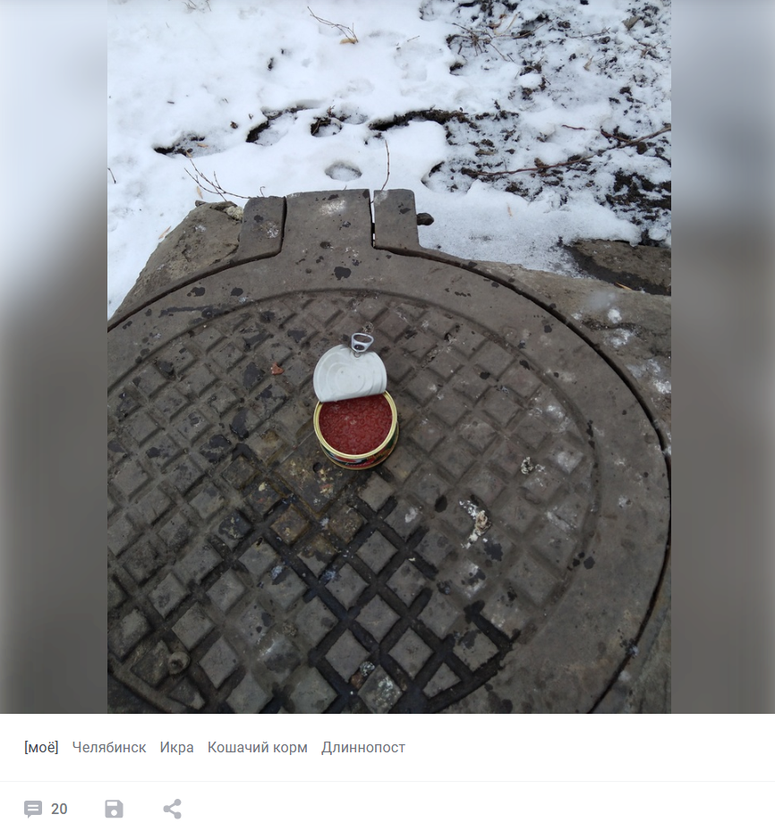 Скриншот: gogen08 / pikabu.ru