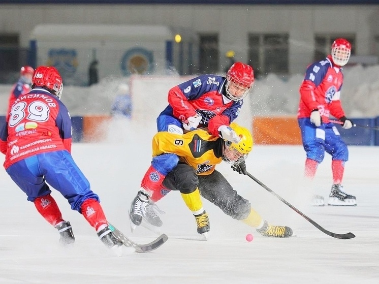     Вопреки погоде: наставники хабаровского «СКА-Нефтяника» и «Сибсельмаша» прокомментировали игру в Новосибирске. Фото: ХК "Сибсельмаш"