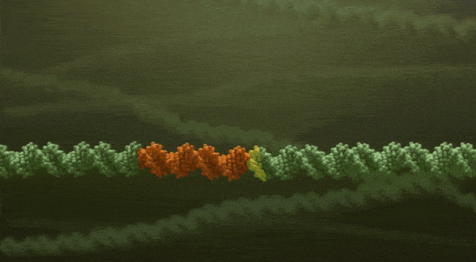   CRISPR Therapeutics