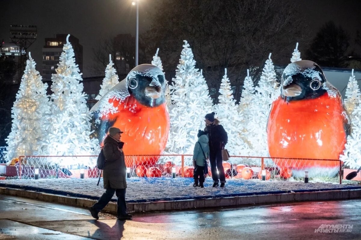    На территории Московского Дворца пионеров на Воробьевых горах открылась одна из главных точек столичного фестиваля «Зима в Москве».