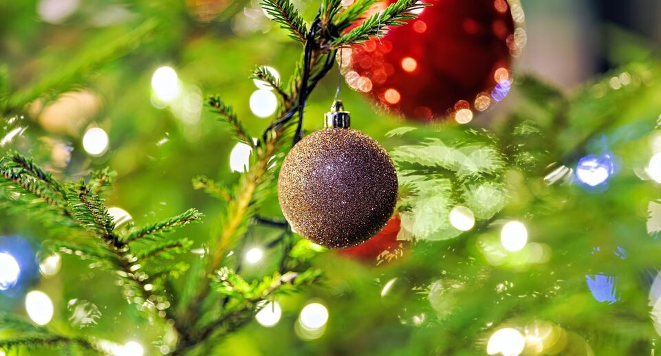    Шары на елке в новогоднем парке «Раздолье» в Одинцово / Медиасток.рф