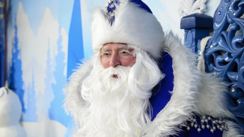     В алтайской резиденции Деда Мороза. Анна Зайкова, altapress.ru