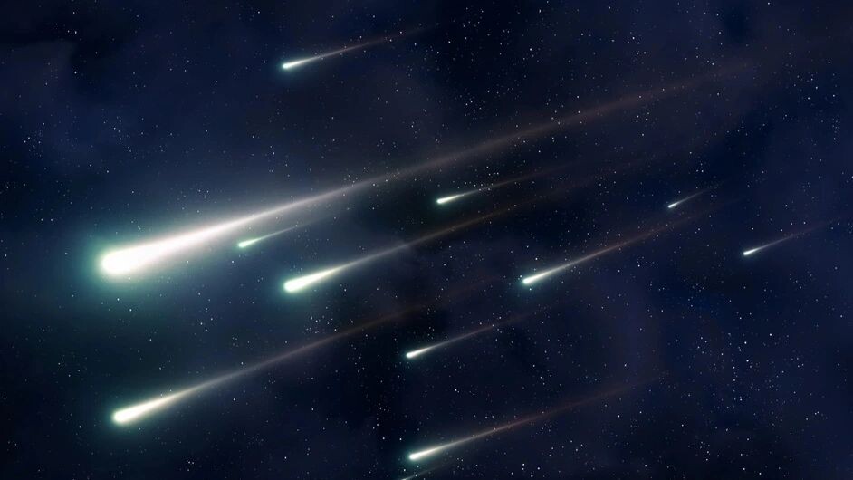    Фото: Nazarii_Neshcherenskyi/Shutterstock/Fotodom