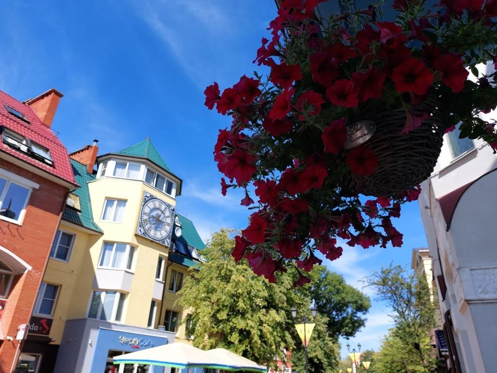 Снова цветочки)))