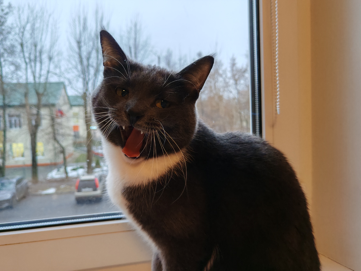 Федя всем желает счастья! 