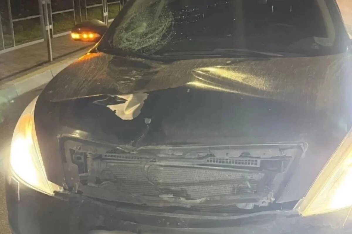    Пешеход погиб под колесами иномарки в Геленджике