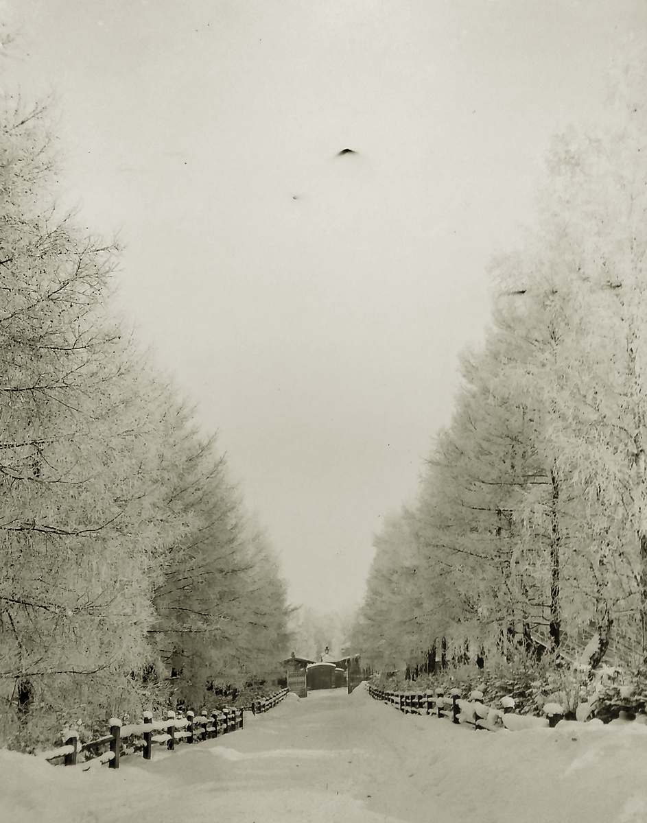 Зима в усадьбе Сукачёвых в Иркутске. Архив Тартуского университета