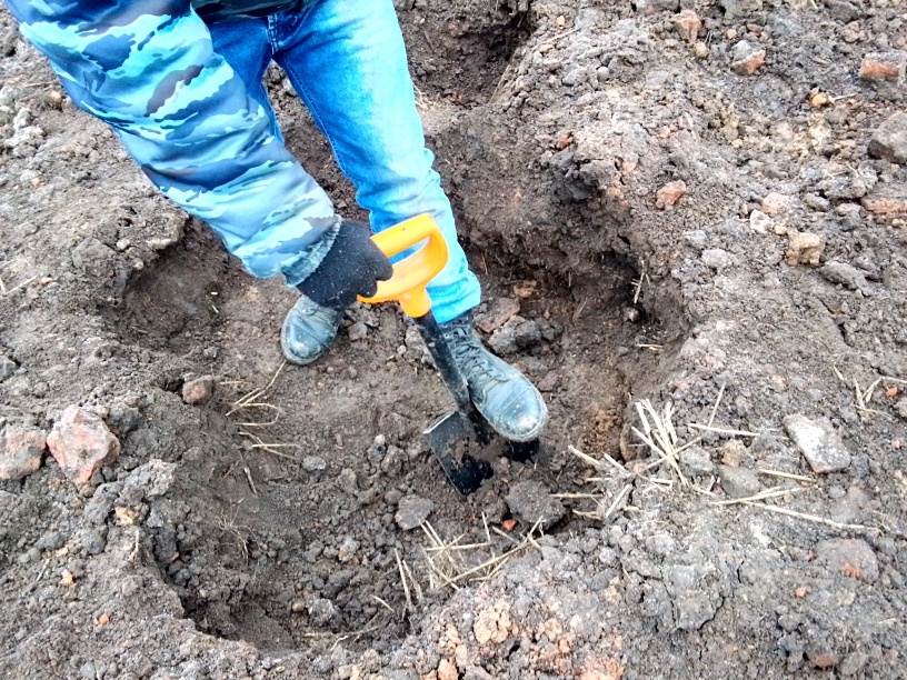 Лопаты взяли две с собой.