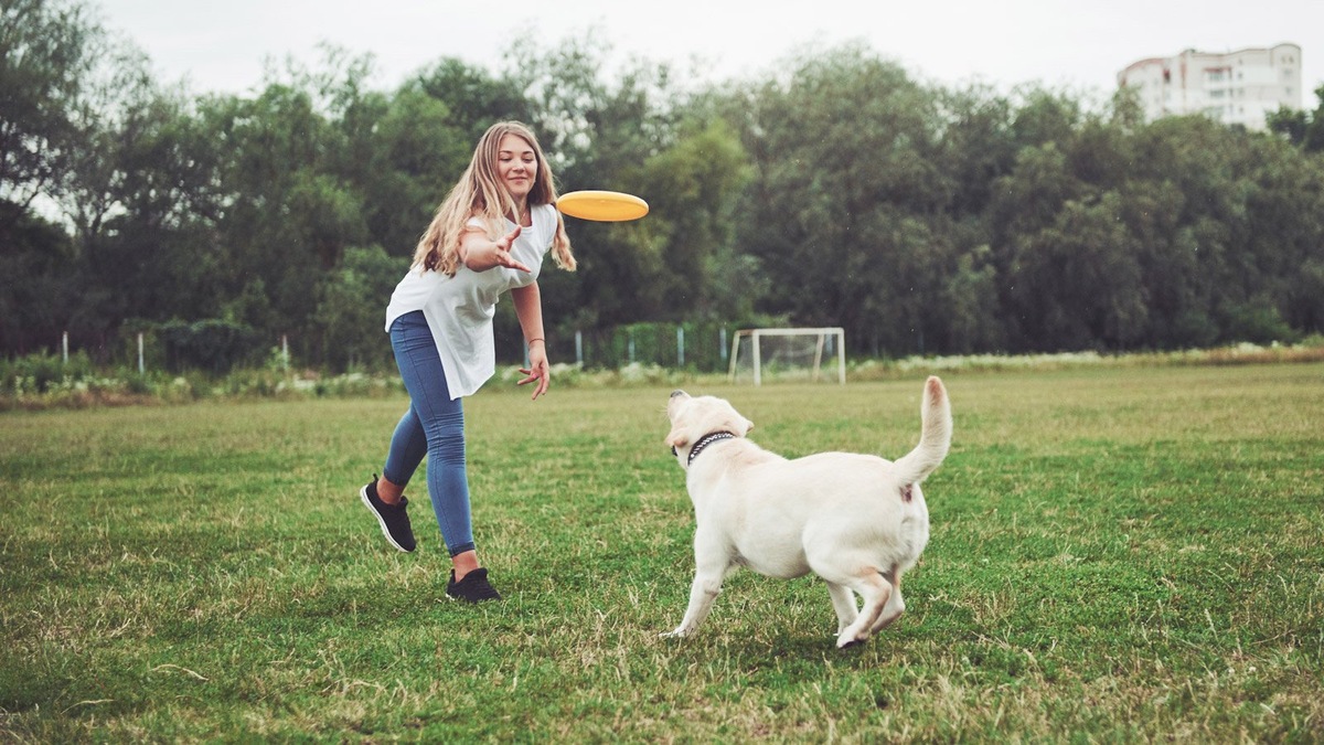    Люди часто даже неосознанно подбирают щенка, похожего на них