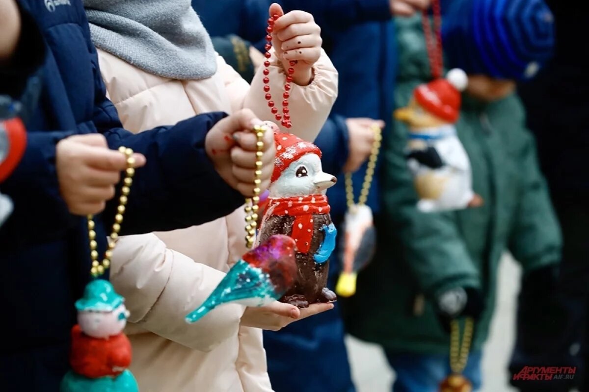    Мэр Новосибирска исполнит детскую мечту в акции «Елка желаний»