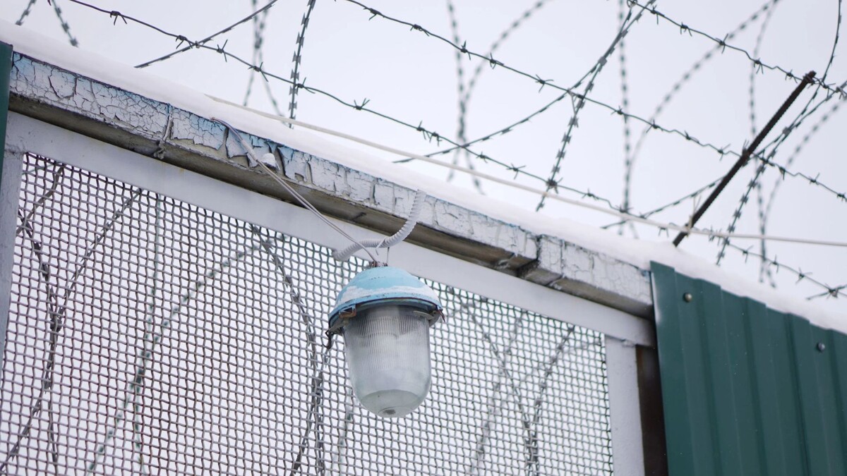    Фото: Юлия Чудинова/«Ямал-Медиа»