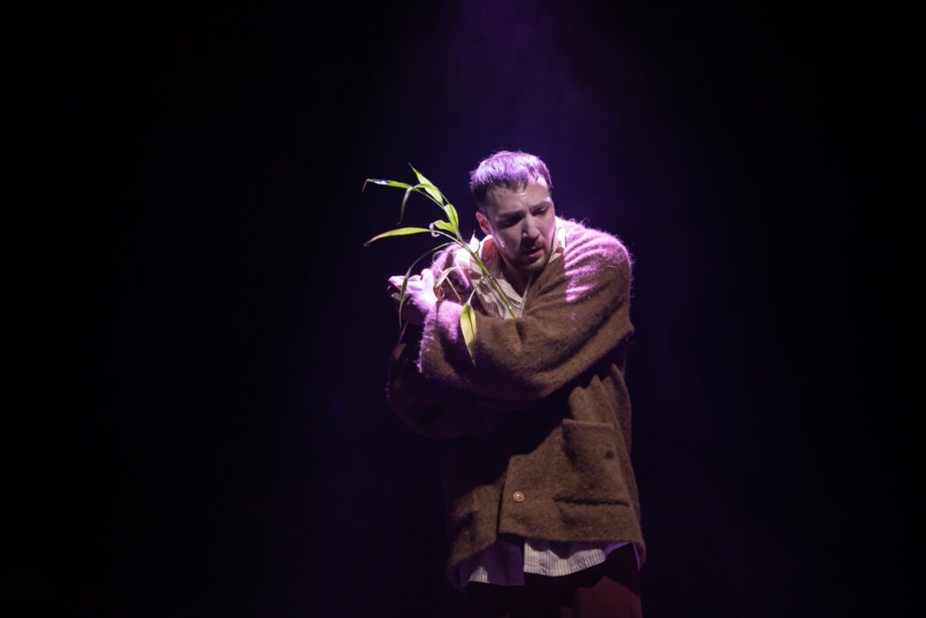    Фото: Анна Смолякова Источник фото: Театр To Go