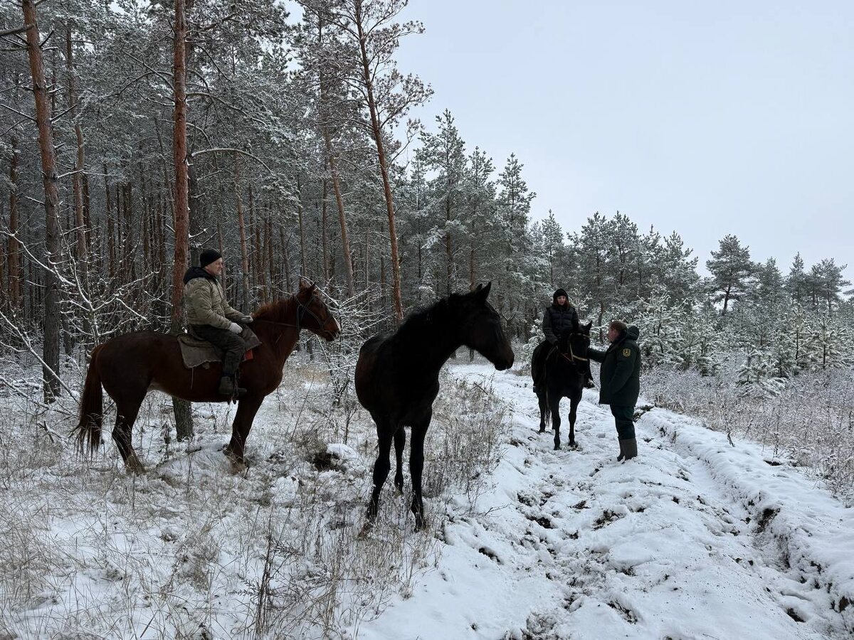 Фото: Министерство природных ресурсов Курской области
