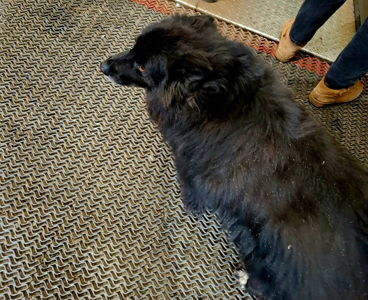 Большой такой)