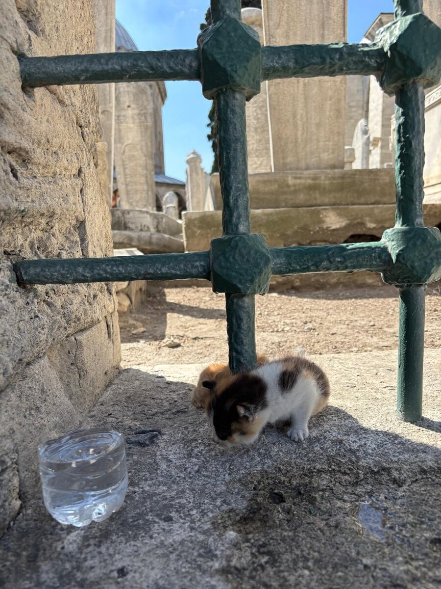 Две малютки