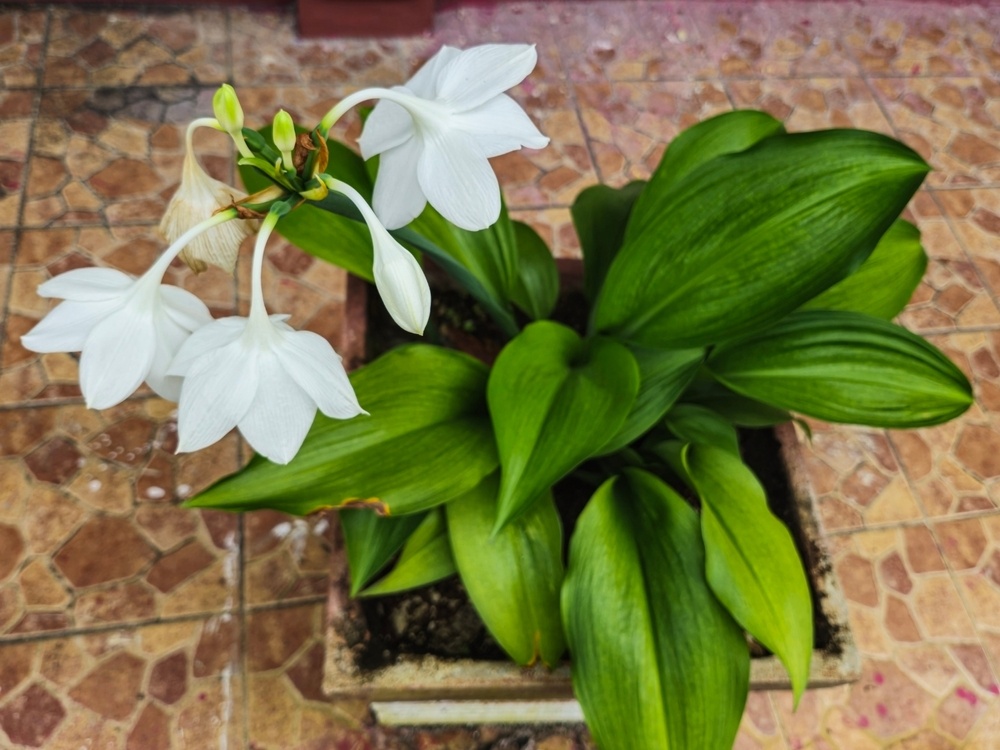 Источник фото shutterstock.com