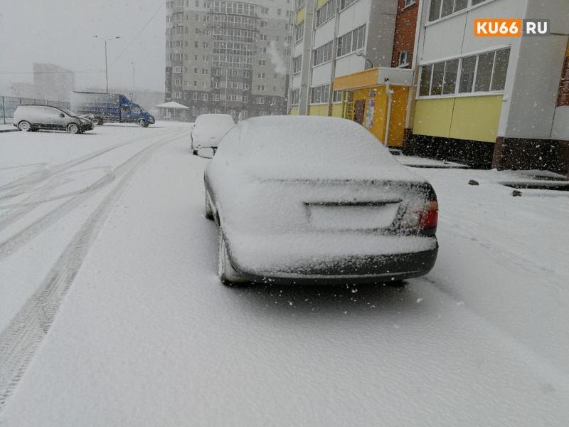     Фото: freepik.com