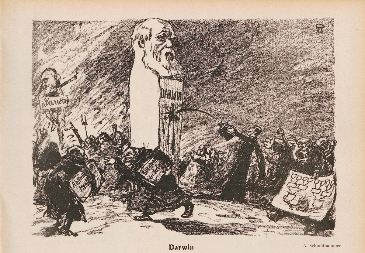 Карикатура на критику Дарвина