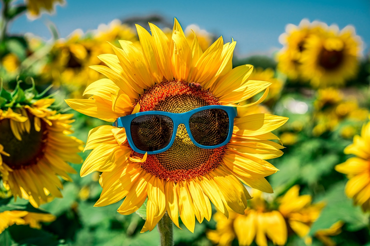   Фото: Cat Parker on Unsplash