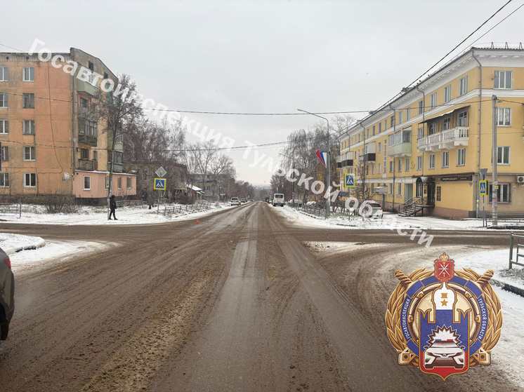     Фото: Госавтоинспекция Тульской области