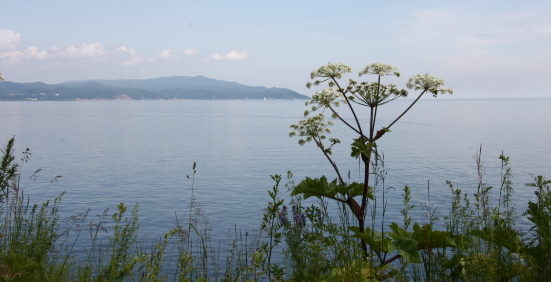    Фото: НИА "Экология"