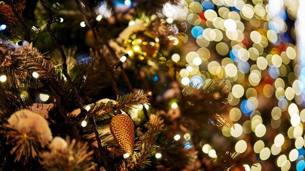    © Sputnik / Алексей Даничев