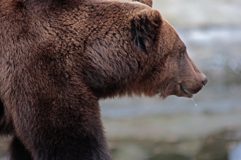    Фото © Dpa/ picture-alliance / ТАСС