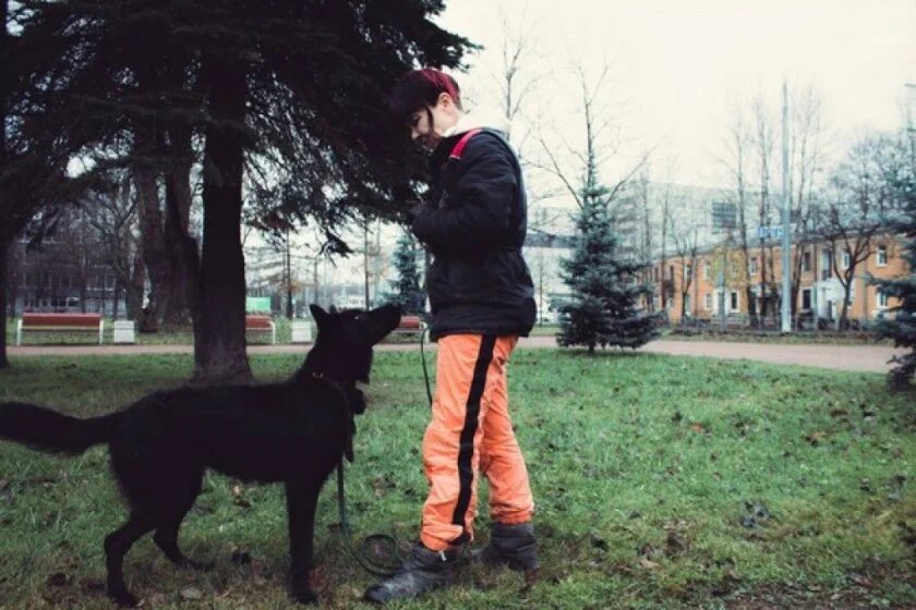 Все наши подопечные должны знать, что некоторые вещи делать нельзя, поэтому мы учим их и запрещающим командам.