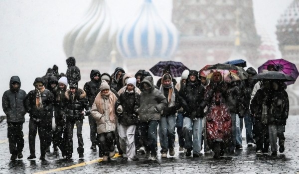 фото: РИА Новости/Илья Питалев