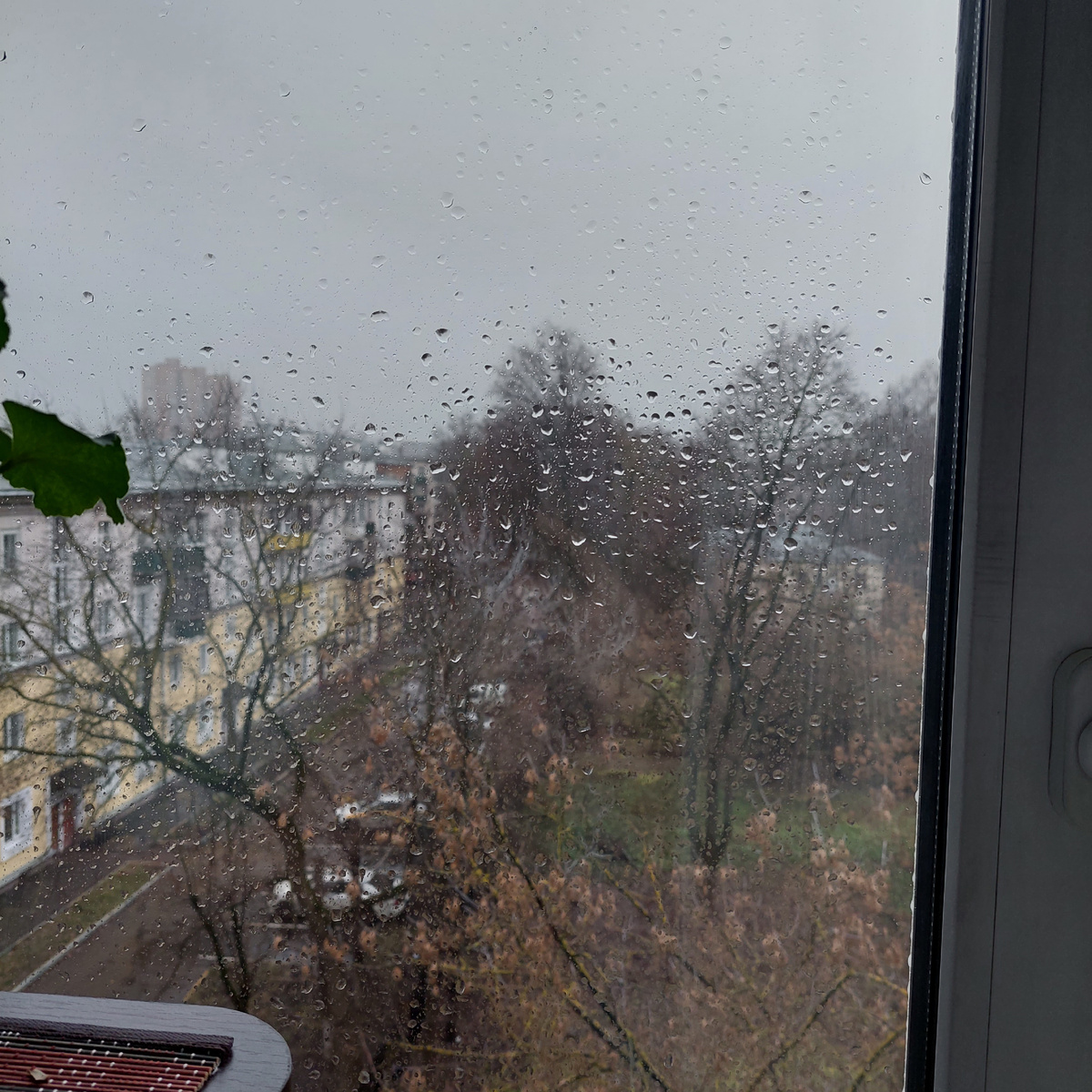 Фото автора.