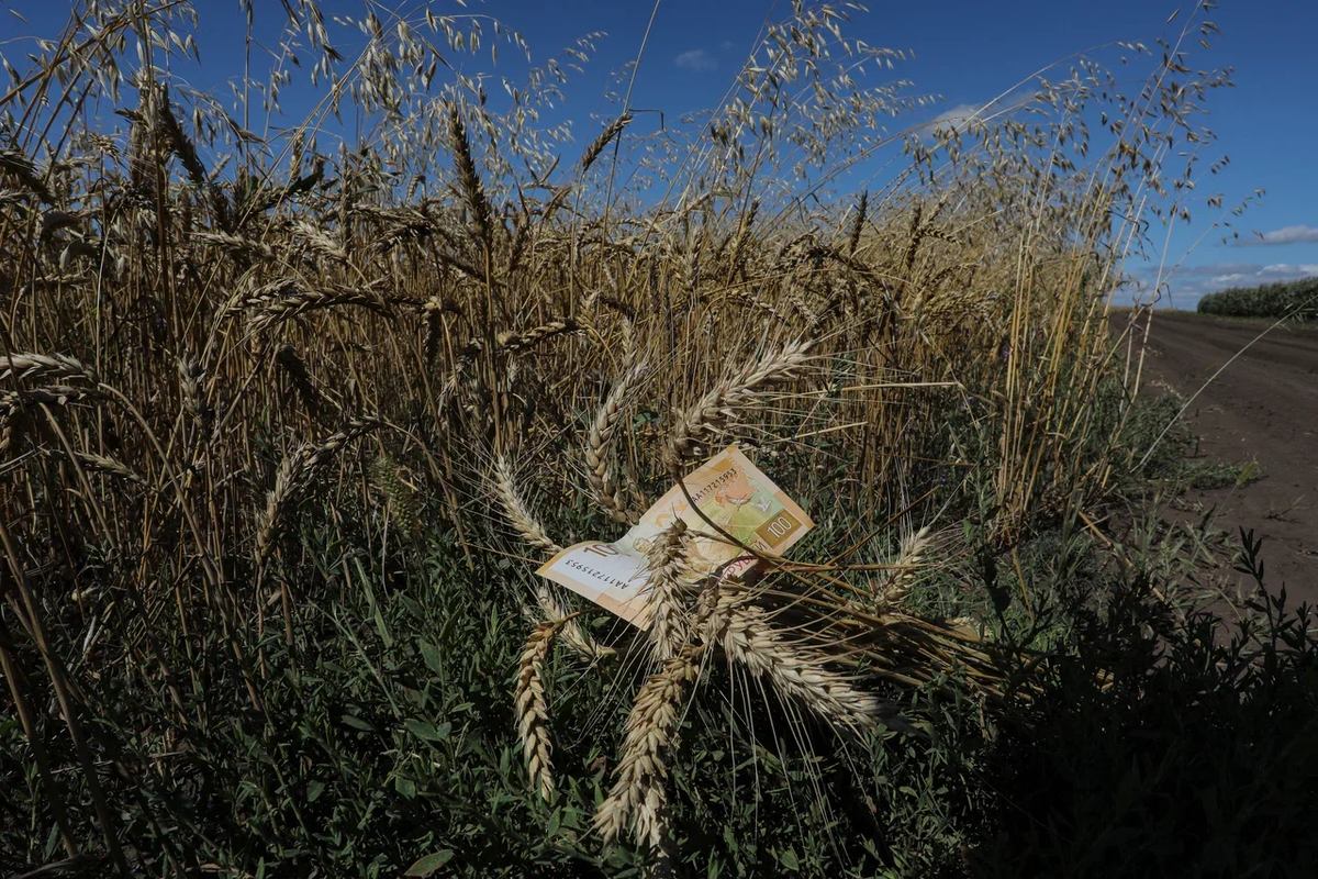 Источник: Поле.РФ