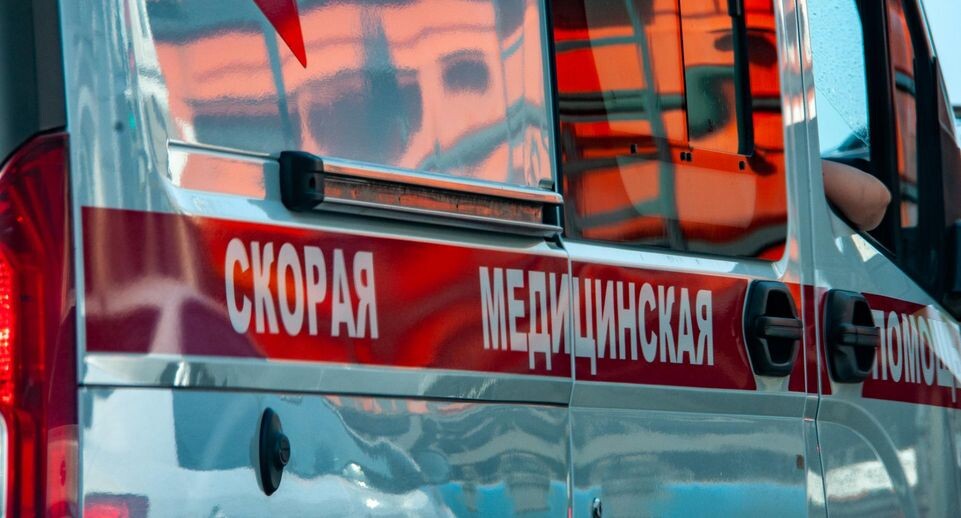    Svetlana Vozmilova/Global Look Press / www.globallookpress.com