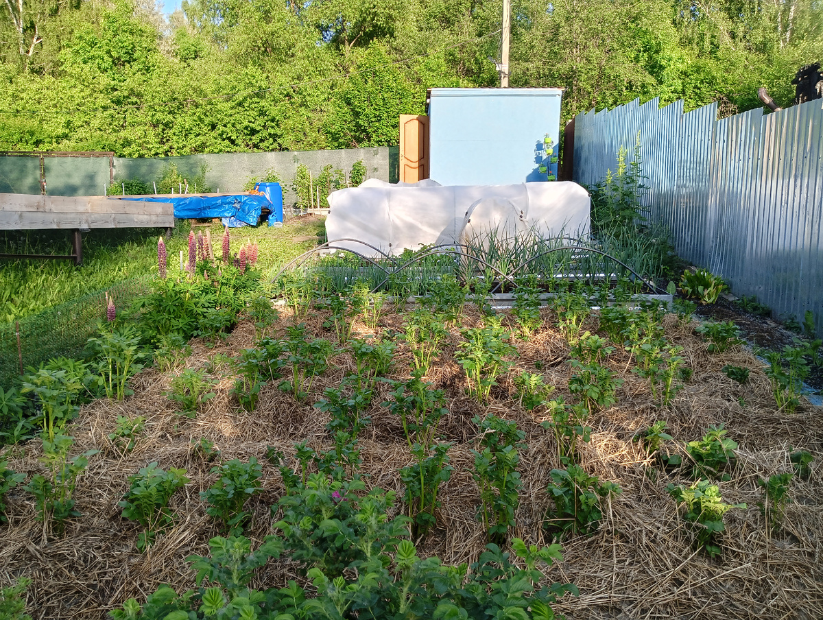 Июнь 2024 года