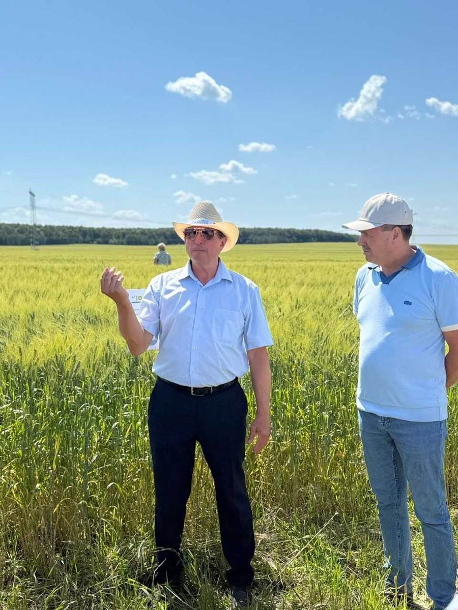 Сергей Грошев  - руководитель секции «Твёрдая пшеница» Национального союза селекционеров и семеноводов.