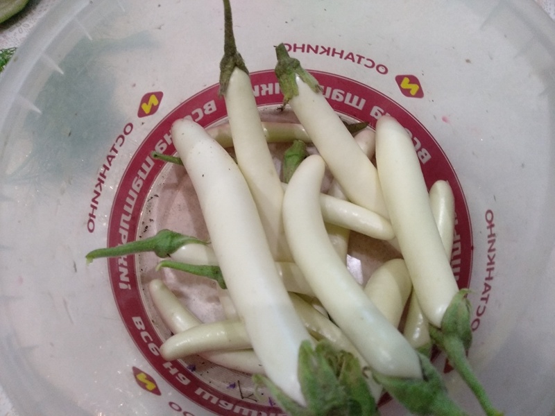 Так выглядят  плоды баклажанов «Мотя»