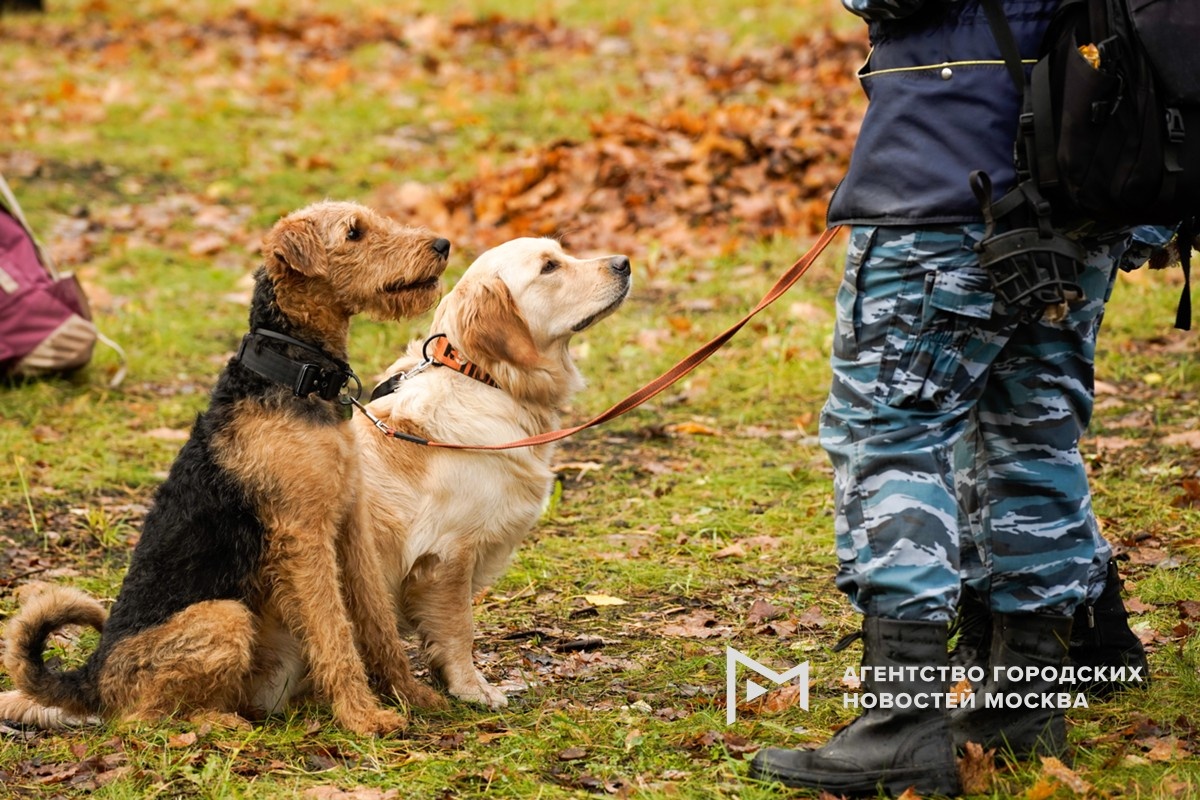 Фотограф: Александр Авилов