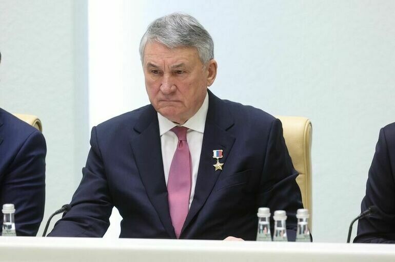   Денис Вышинский/Пресс-служба Совета Федерации